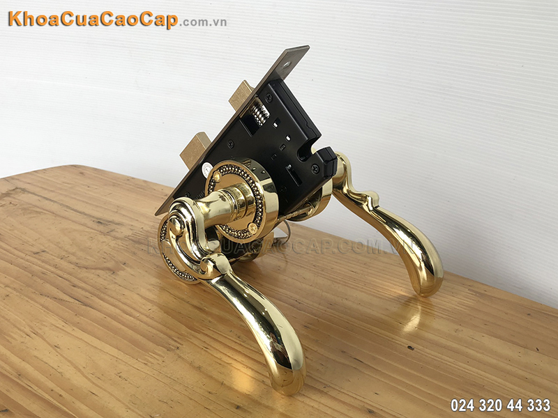 Khóa cửa phân thể PTHC5829 - ảnh 6