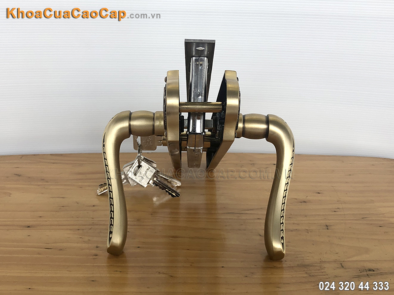 Khóa tay bẻ cửa đi Huy Hoàng HCX8561 - 4