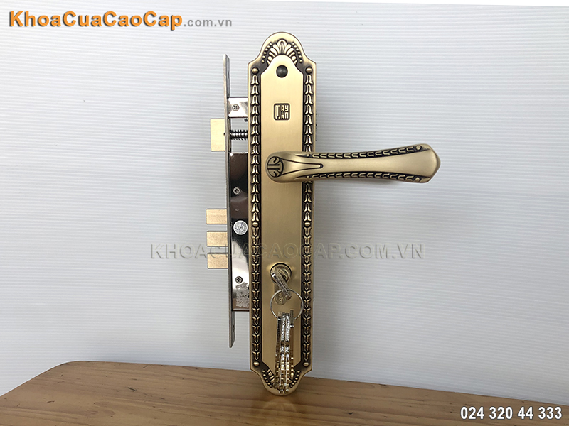 Khóa tay bẻ cửa đi Huy Hoàng HCX8561 - 5